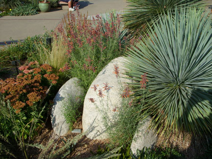Denver Botanical garden